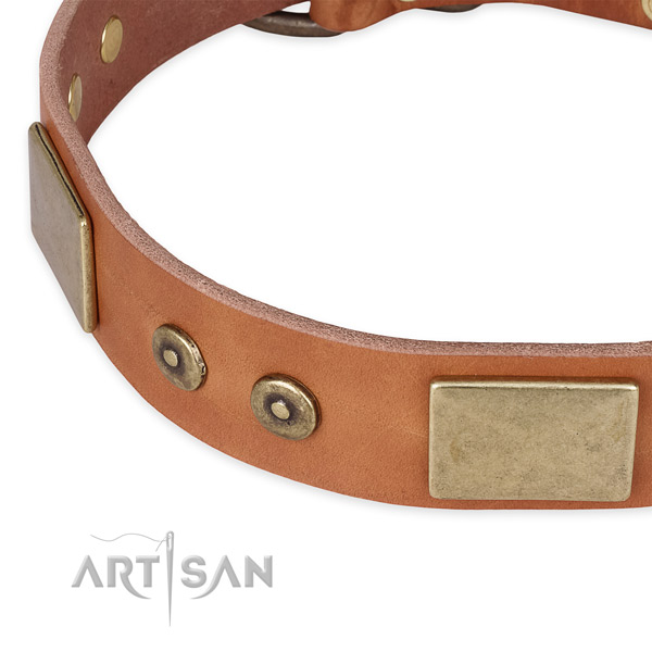 Corrosion resistant embellishments on natural genuine leather dog collar for your four-legged friend