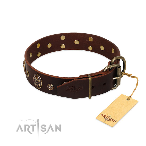 Reliable studs on genuine leather dog collar for your dog
