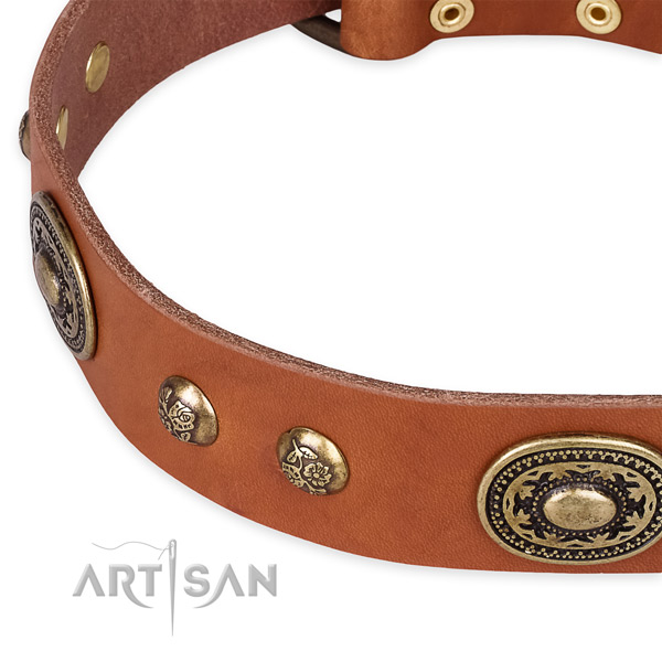 Designer full grain genuine leather collar for your impressive four-legged friend