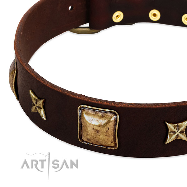 Durable adornments on full grain natural leather dog collar for your pet
