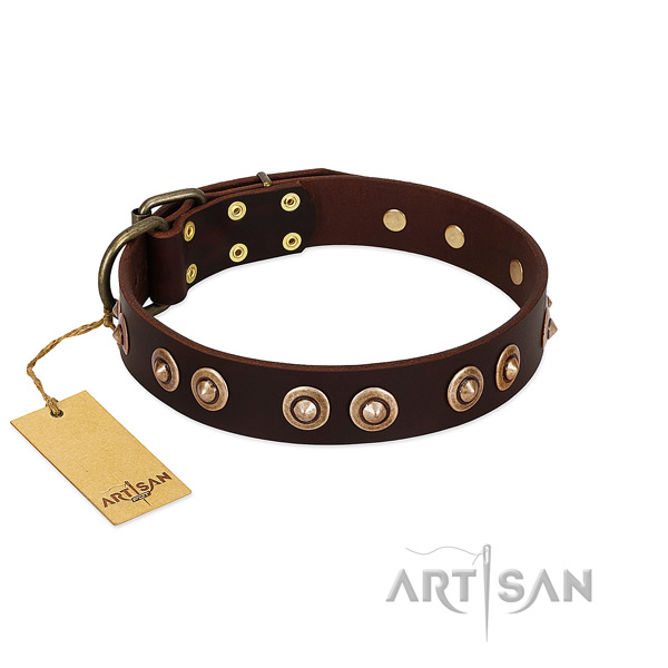 Rust resistant fittings on full grain leather dog collar for your dog