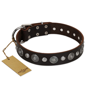 "Victory Ode" FDT Artisan Brown Leather Siberian Husky Collar with Silver-like Plated Decorations "Victory Ode" FDT Artisan Brown Leather Siberian Husky Collar with Silver-like Plated Decorations