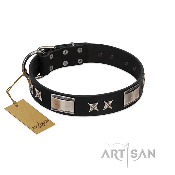 Incredible dog collar of natural leather