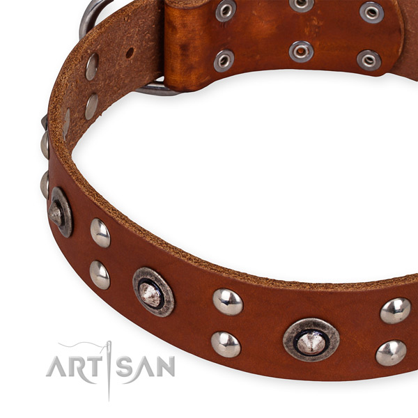 Full grain leather collar with durable fittings for your attractive four-legged friend