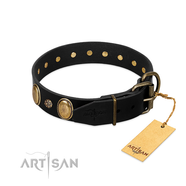Daily walking quality leather dog collar