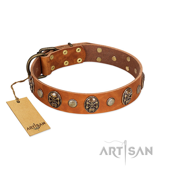 Perfect fit genuine leather dog collar for everyday walking