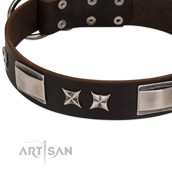 Top notch leather dog collar with rust resistant hardware