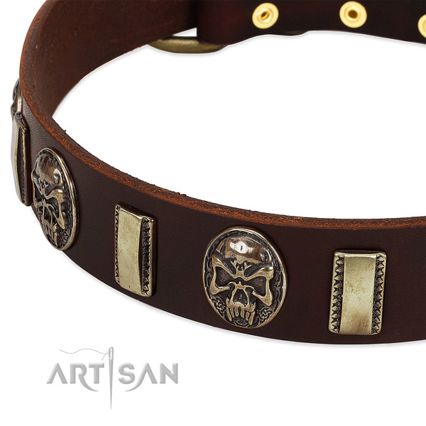 Rust resistant studs on full grain leather dog collar for your four-legged friend