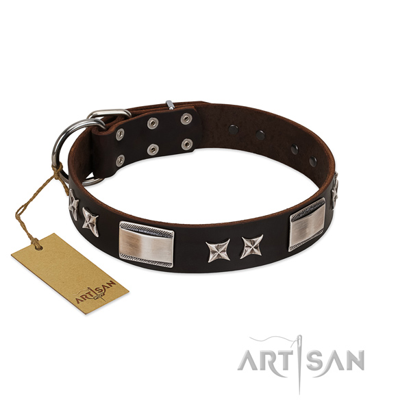 Decorated dog collar of leather