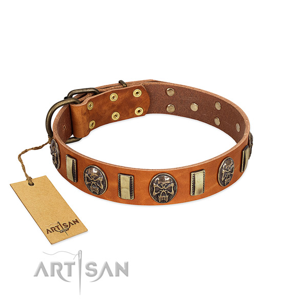 Stylish full grain natural leather dog collar for handy use