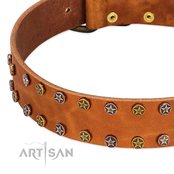 Easy wearing natural leather dog collar with amazing embellishments