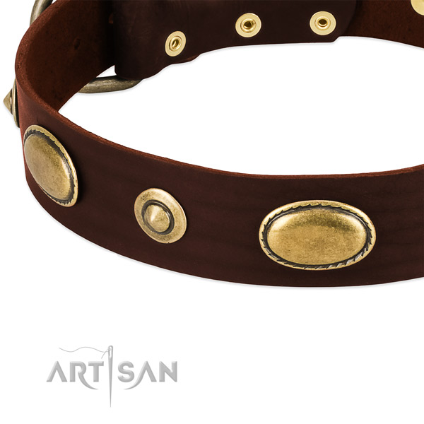 Strong traditional buckle on natural leather dog collar for your dog