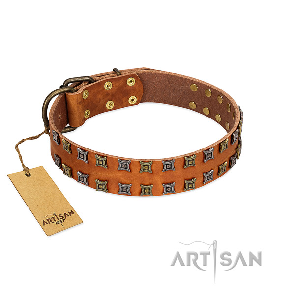 Soft to touch full grain leather dog collar with decorations for your canine