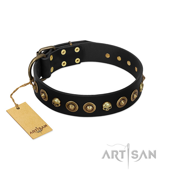 Full grain natural leather collar with unique adornments for your dog