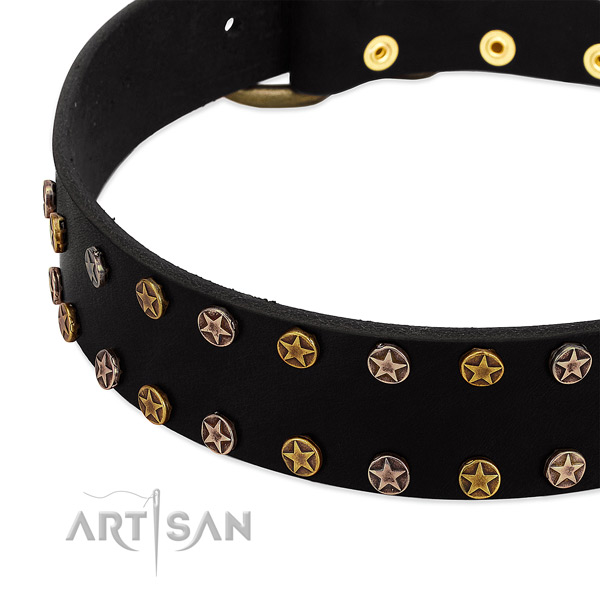 Top notch adornments on natural leather collar for your pet