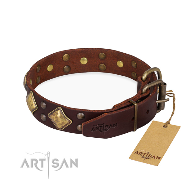 Genuine leather dog collar with fashionable corrosion resistant embellishments
