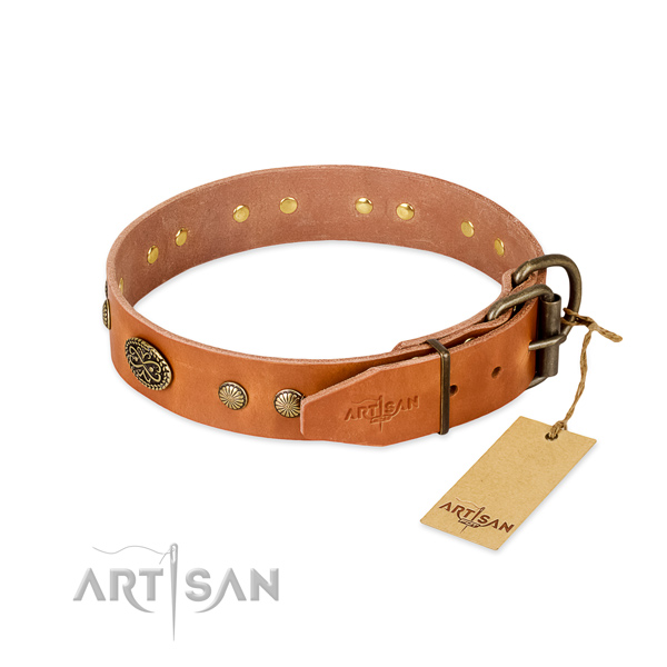 Reliable embellishments on full grain natural leather dog collar for your canine
