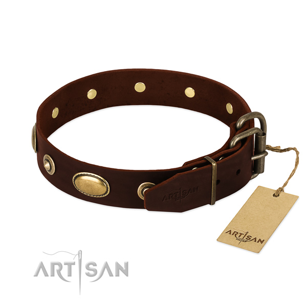 Corrosion resistant decorations on natural leather dog collar for your dog