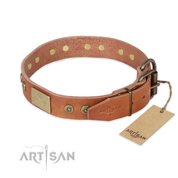Rust resistant D-ring on full grain leather collar for fancy walking your dog