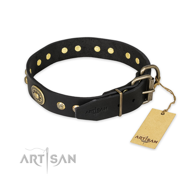 Rust resistant buckle on genuine leather collar for walking your four-legged friend