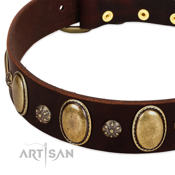 Daily walking soft leather dog collar