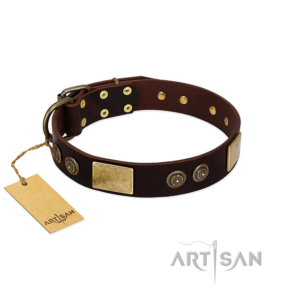 Strong embellishments on genuine leather dog collar for your canine