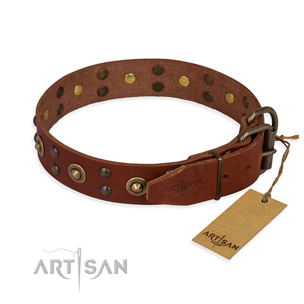 Reliable traditional buckle on genuine leather collar for your handsome canine