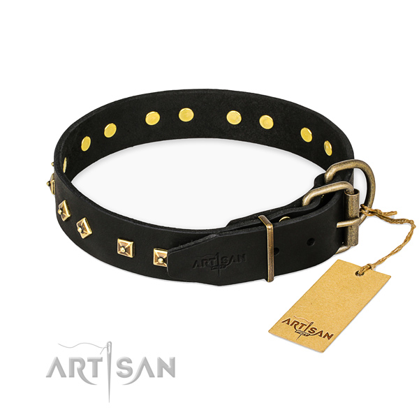Corrosion proof fittings on genuine leather collar for walking your pet
