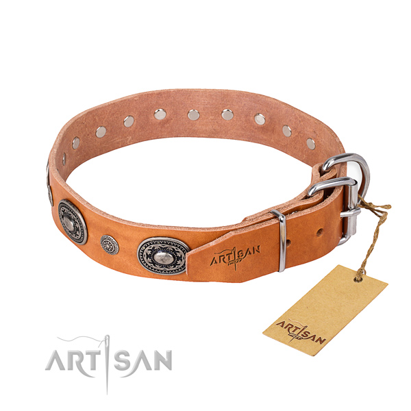 Durable leather dog collar created for stylish walking