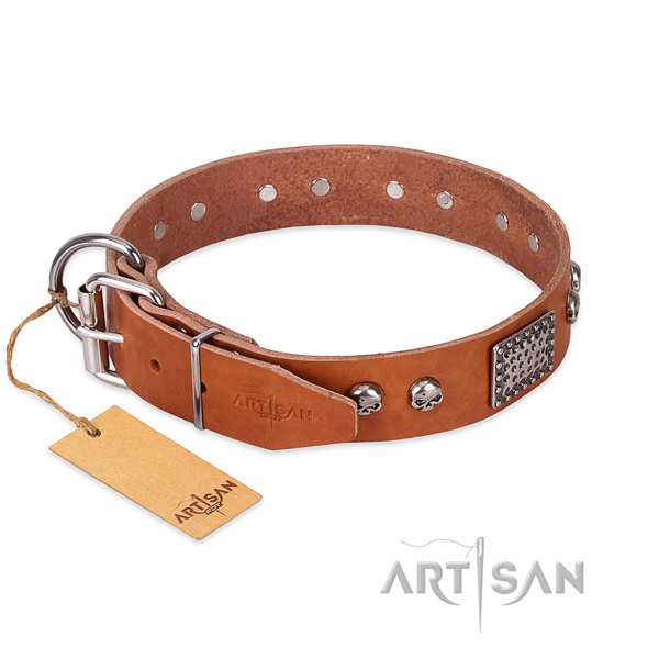 Strong fittings on daily use dog collar