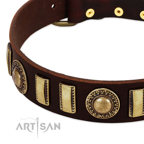 Best quality natural leather dog collar with corrosion proof fittings