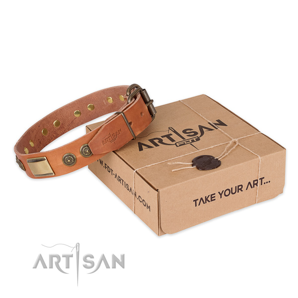 Rust resistant fittings on full grain genuine leather dog collar for easy wearing