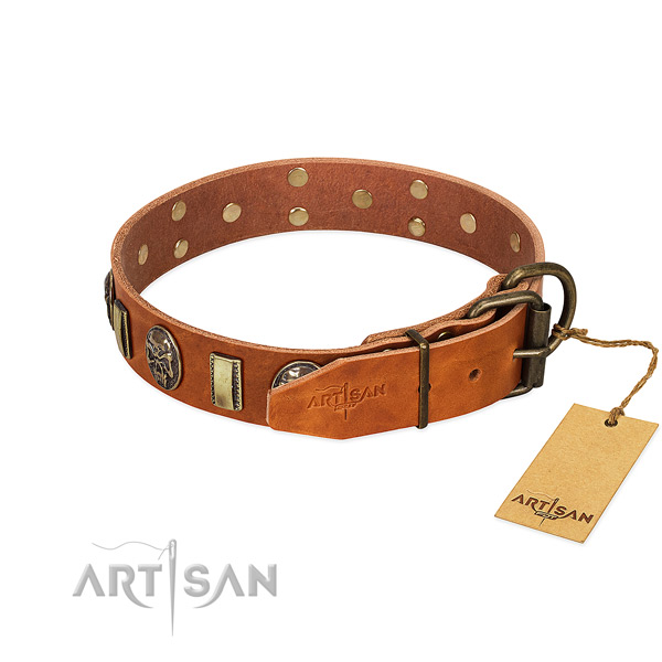 Leather dog collar with reliable fittings and studs