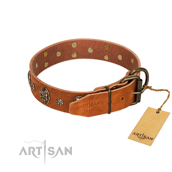 Rust resistant embellishments on full grain natural leather dog collar for your dog