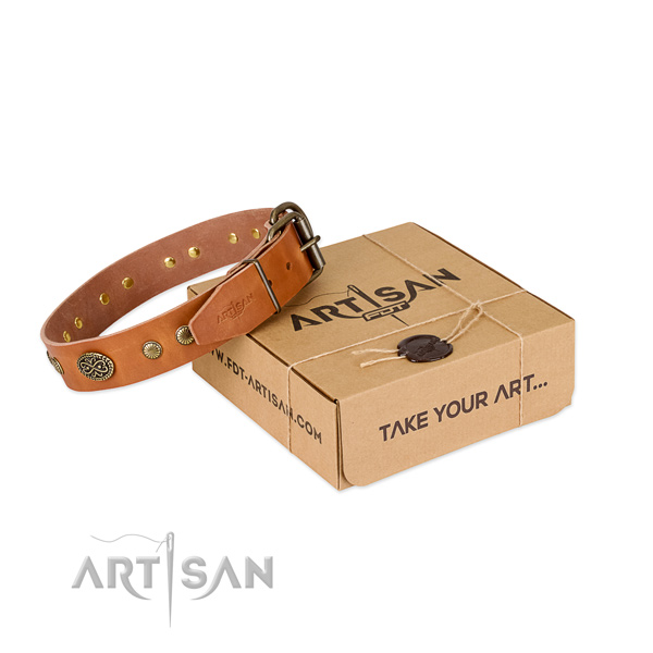 Rust-proof traditional buckle on leather dog collar for your dog