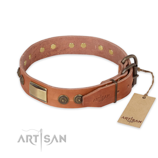 Rust resistant fittings on genuine leather collar for everyday walking your pet
