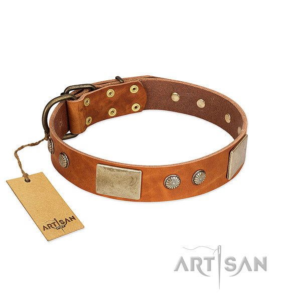 Adjustable genuine leather dog collar for everyday walking your dog