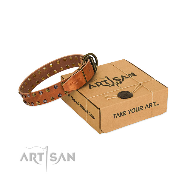 Everyday walking soft to touch leather dog collar with adornments