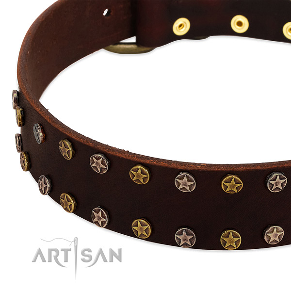 Everyday use natural leather dog collar with stylish design studs