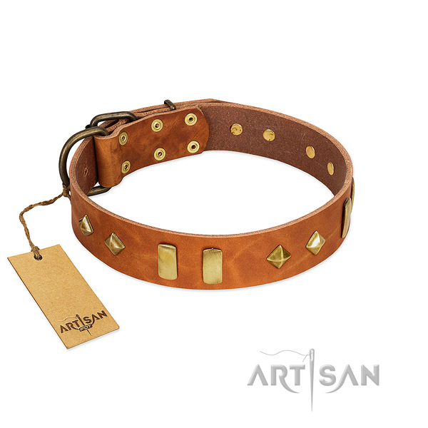 Easy wearing top rate natural leather dog collar with embellishments