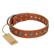 "Natural Beauty" FDT Artisan Tan Leather Siberian Husky Collar with Shining Silver-like Studs "Natural Beauty" FDT Artisan Tan Leather Siberian Husky Collar with Shining Silver-like Studs