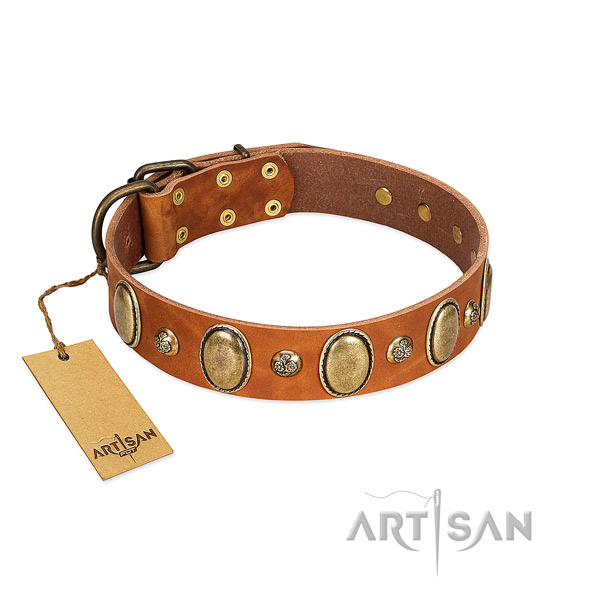 Full grain leather dog collar of top notch material with remarkable adornments