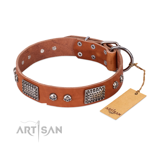 Easy to adjust full grain leather dog collar for basic training your dog