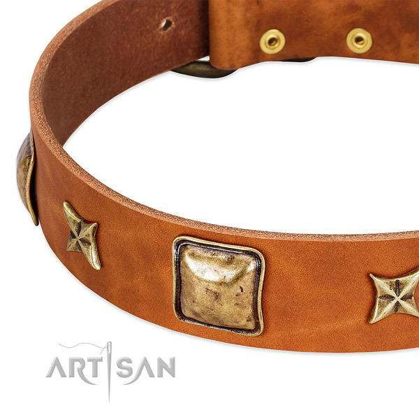 Strong D-ring on full grain natural leather dog collar for your canine