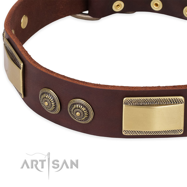 Reliable hardware on leather dog collar for your pet