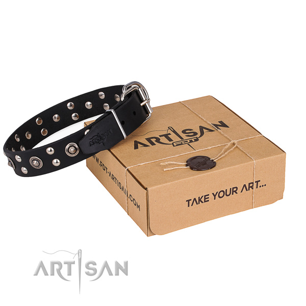 Easy wearing dog collar with Extraordinary reliable embellishments