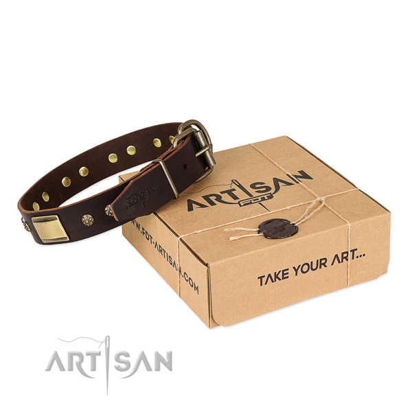 Unique full grain natural leather collar for your handsome four-legged friend
