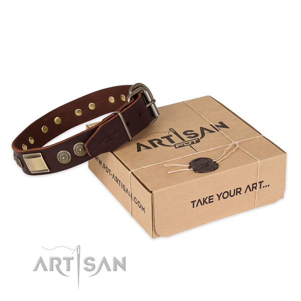 Durable buckle on full grain natural leather dog collar for fancy walking