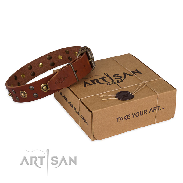 Strong fittings on genuine leather collar for your handsome canine