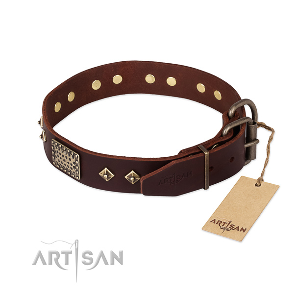 Full grain natural leather dog collar with reliable D-ring and embellishments